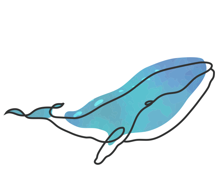 海岸風險鯨魚圖片