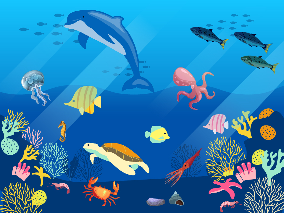 第二題的答案圖片：內含大量美麗可愛的海洋生物，如海龜、螃蟹、水母、鯨魚、珊瑚